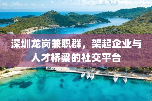 深圳龙岗兼职群，架起企业与人才桥梁的社交平台